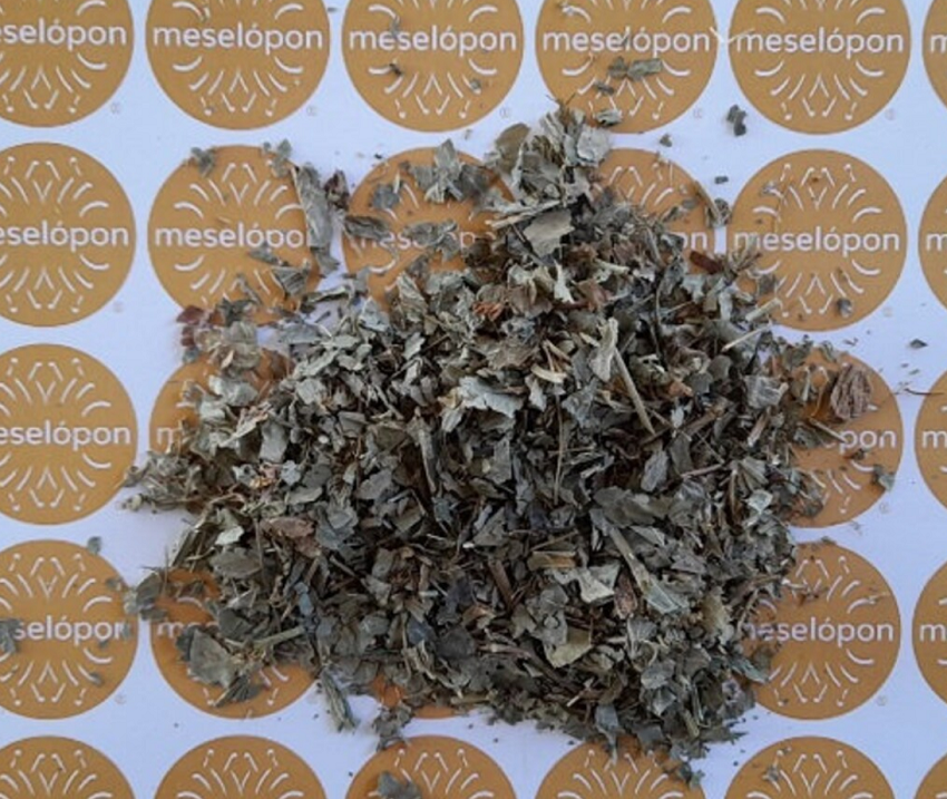 Dried Alchemilla Alpina, Alpine Lady's Mantle Herb Leaves