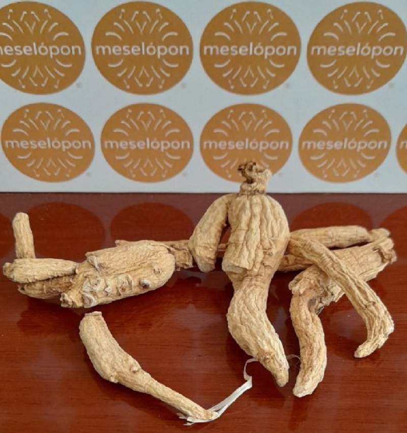 Dried Woods-grown Ginseng Root Herb