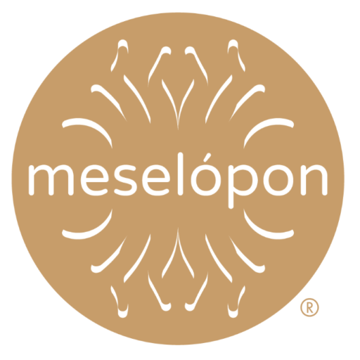 Meselopon Ltd