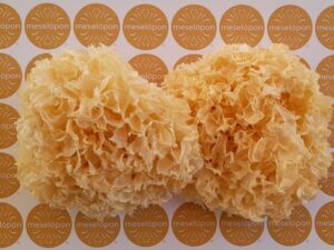 Collagen Production Mushroom Tremella Fungi, Snow Fungus Whole Beauty Mushrooms, White Jelly Mushroom Soup Snow Ear
