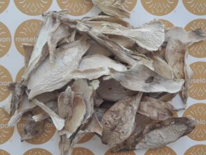 Coprinus Fungus Wild, Shaggy Mane Mushrooms Vegan Meat Substitute Greek Fungi In Slices, Shaggy Ink Cap Mushroom