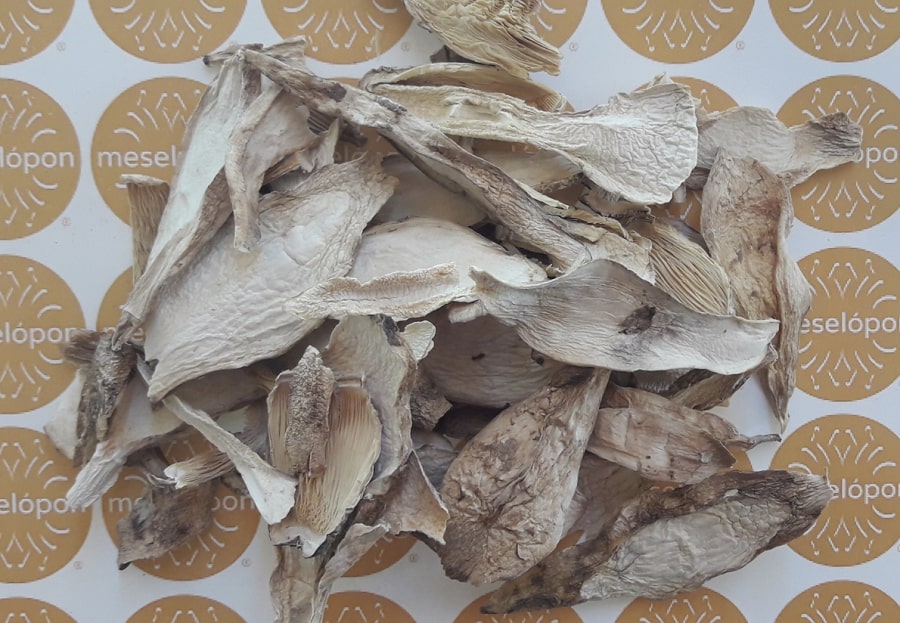 Dried Wild Coprinus, Shaggy Mane Mushrooms Fungi In Slices
